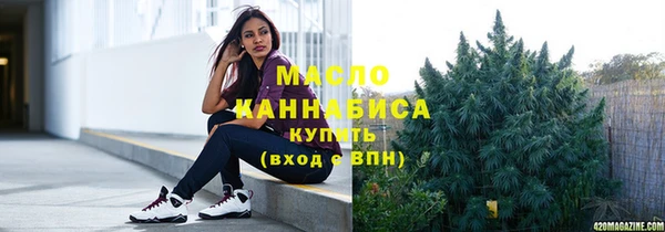 молекула духа Богородицк