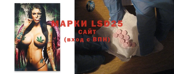 индика Богданович