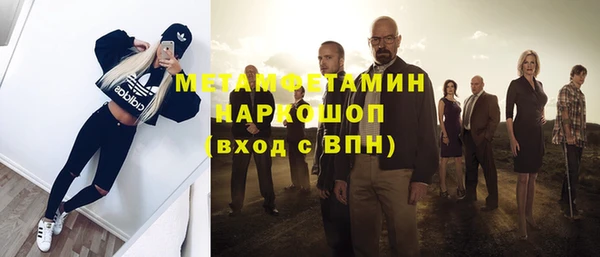 индика Богданович