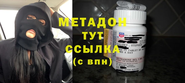 индика Богданович