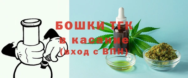 молекула духа Богородицк