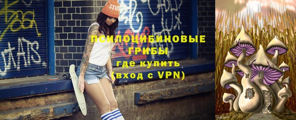сатива Аксай