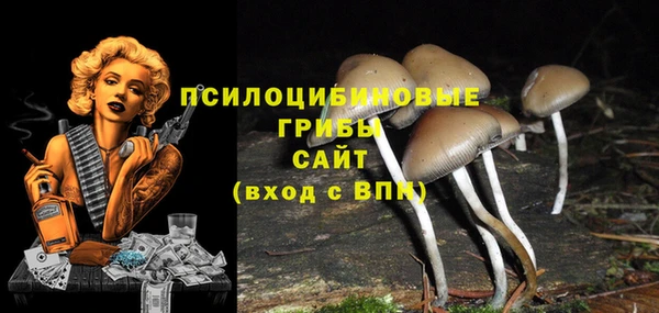 индика Богданович