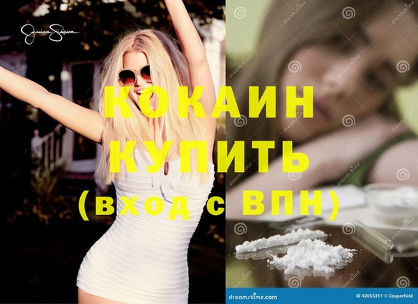 индика Богданович
