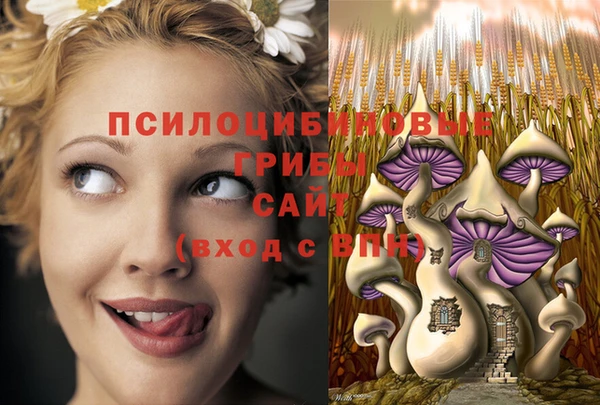 герыч Богородск