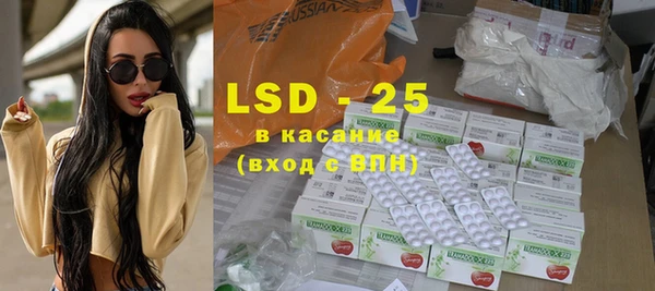 индика Богданович
