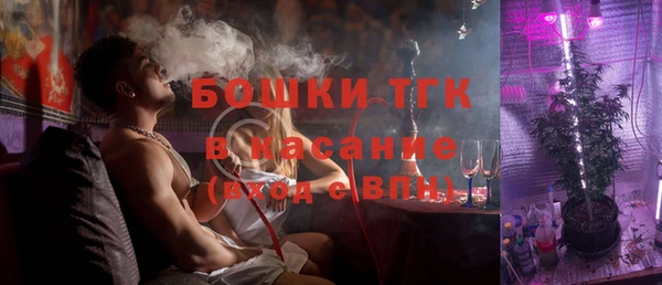 молекула духа Богородицк