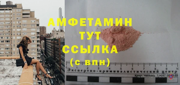 молекула духа Богородицк