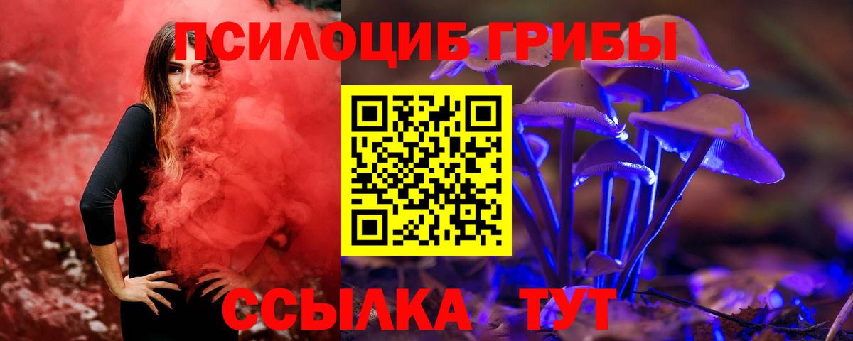 Воркута  Галлюциногенные грибы MAGIC MUSHROOMS  Вход с VPN 